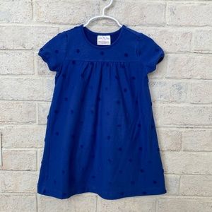 Hanna Andersson blue dress